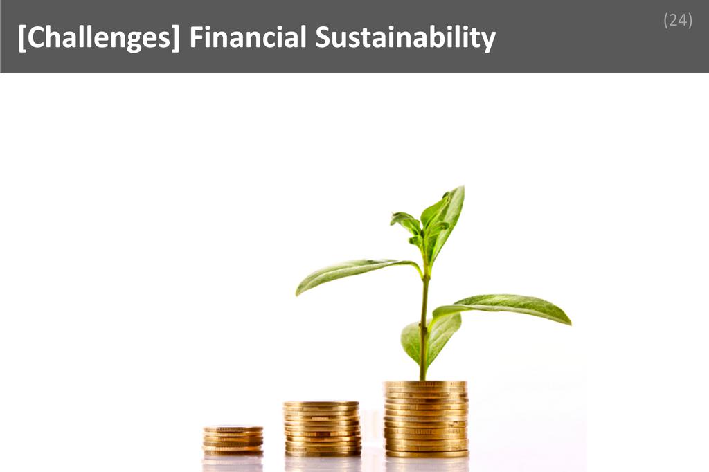### Fiinancial Sustainability Image
