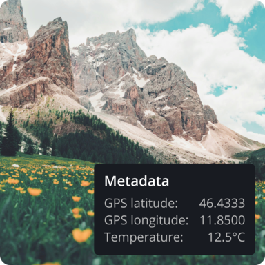 Metadata