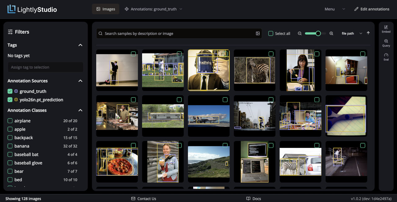 LightlyStudio with the example dataset and predictions loaded