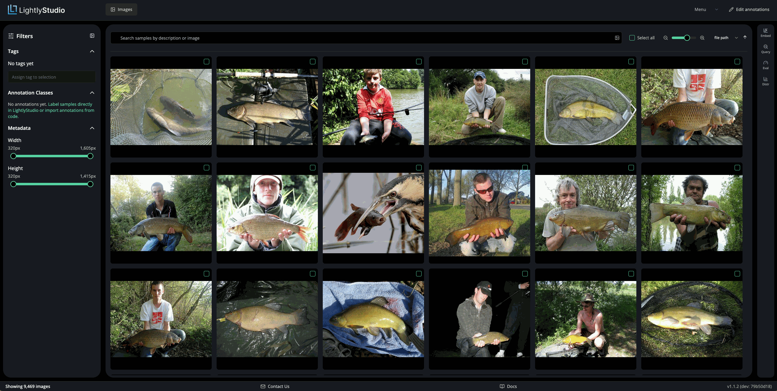 The grid view after the import, filled with Imagenette images