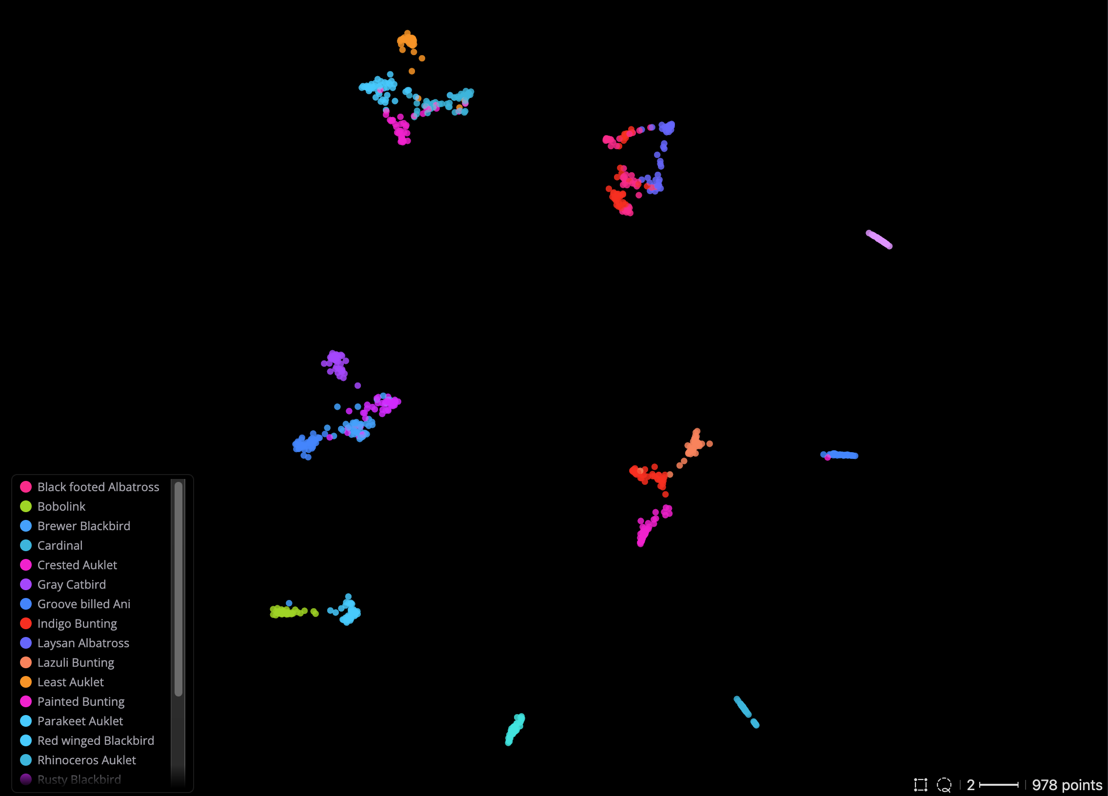 Explore LightlyTrain Embeddings in LightlyStudio