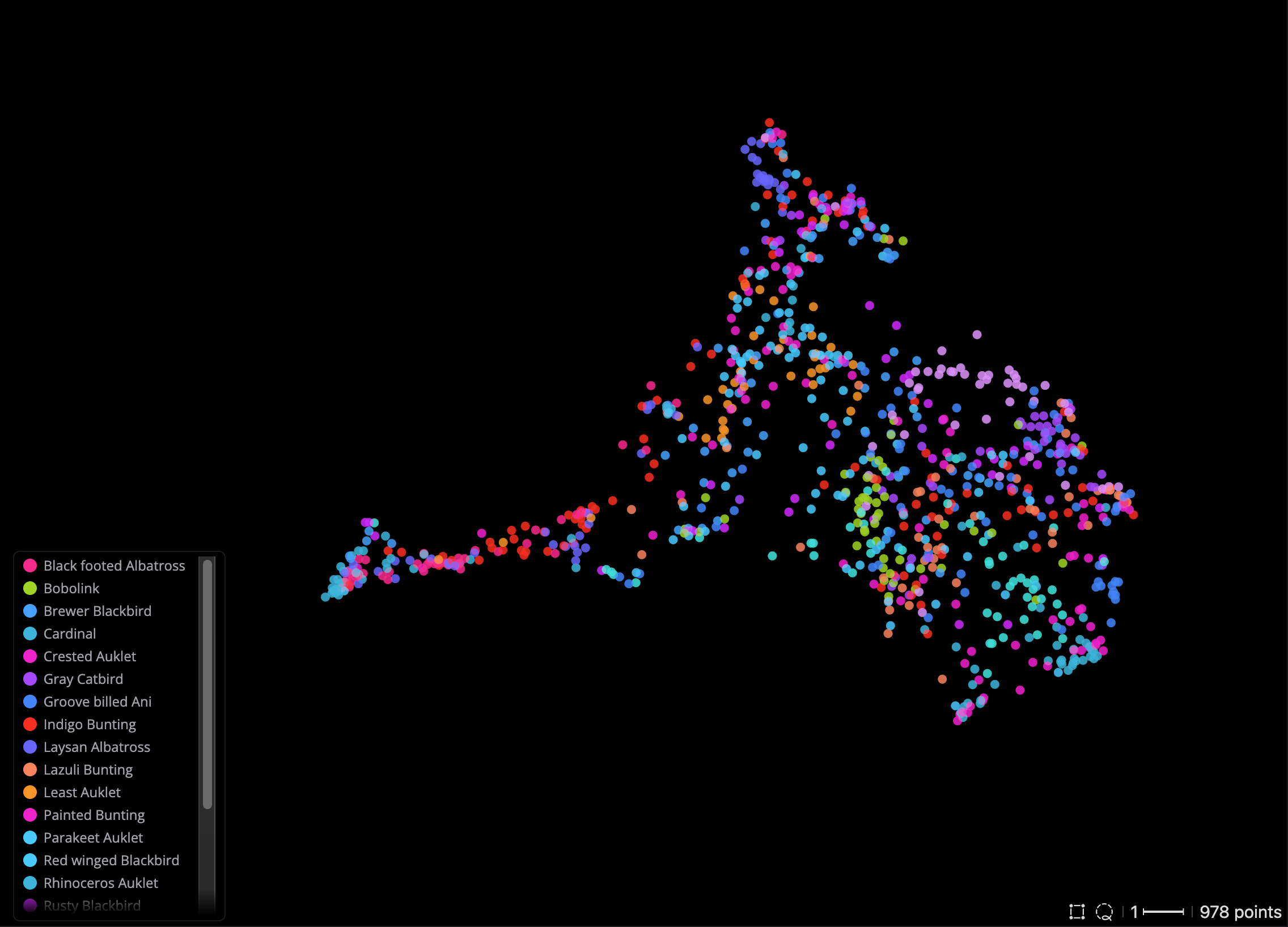 Embeddings from an off-the-shelf DINOv3 ViT-T, colored by species