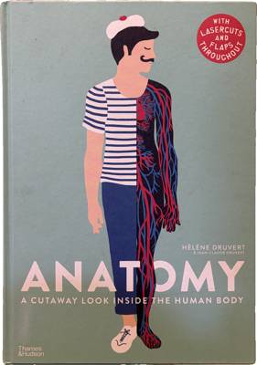 Anatomy: A Cutaway Look Inside the Human Body