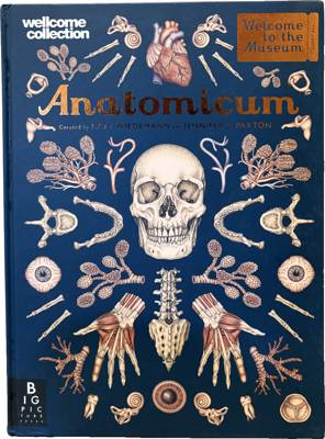 Anatomicum
