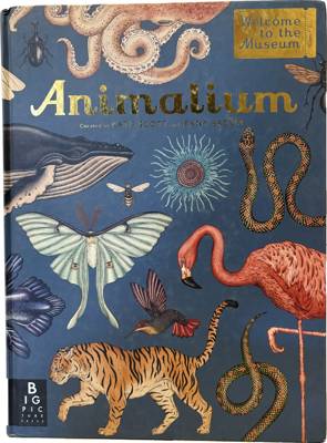 Animalium