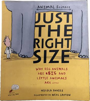 Just the Right Size: Why Big Animals Are Big and Little Animals Are Little