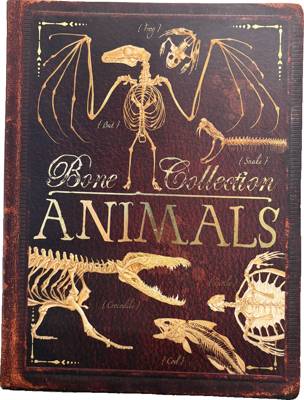 Bone Collection: Animals