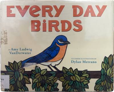 Every Day Birds