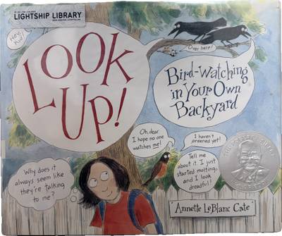 Look Up! Bird-watching in Your Own Backyard