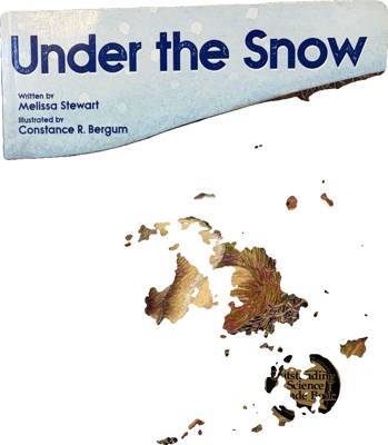 Under the Snow