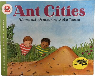 Ant Cities