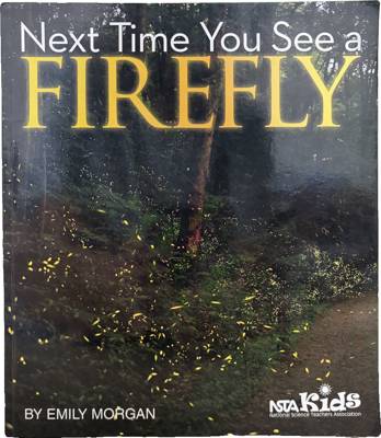 Next Time You See a Firefly