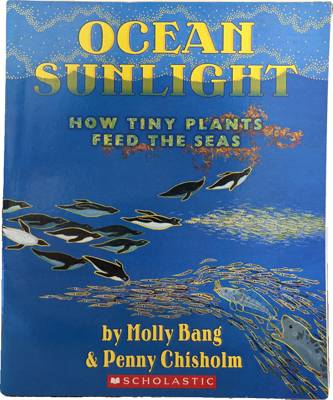 Ocean Sunlight: How Tiny Plants Feed the Seas