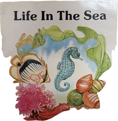 Life In The Sea