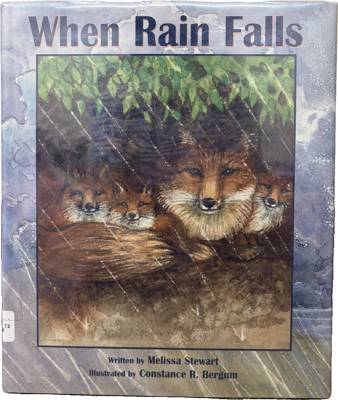 When Rain Falls