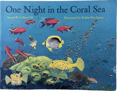 One Night in the Coral Sea