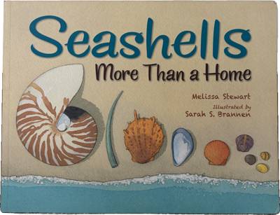 Seashells More Than a Home