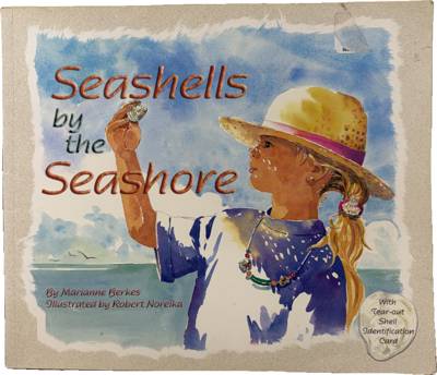 Seashells by the Seashore