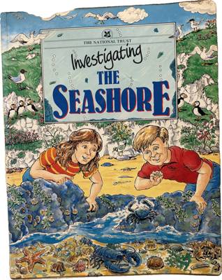 Investigating the Seashore