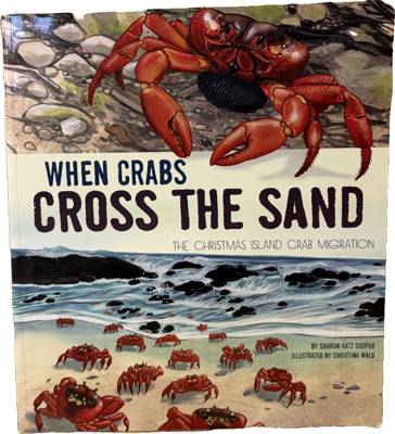 When Crabs Cross the Sand: The Christmas Island Crab Migration
