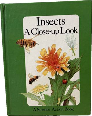 Insects: A Close-up Look
