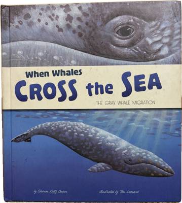 When Whales Cross the Sea: The Gray Whale Migration