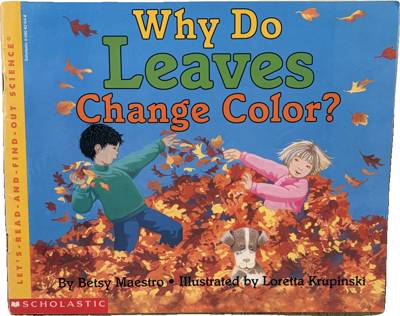 Why Do Leaves Change Color?