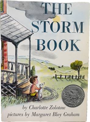 The Storm Book