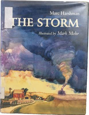 The Storm