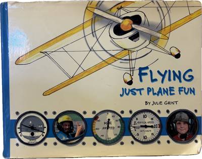 Flying Just Plane Fun