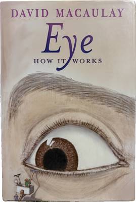 Eye: How It Works