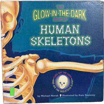 The Glow-in-the-Dark Book of Human Skeletons