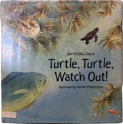 Turtle, Turtle, Watch Out!