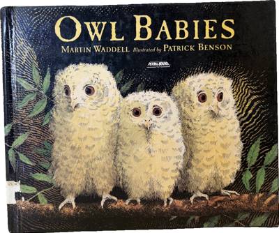 Owl Babies