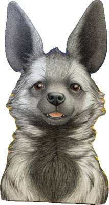 Pinduli