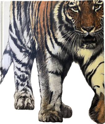 Can We Save the Tiger?