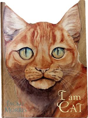 I am Cat