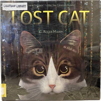Lost Cat