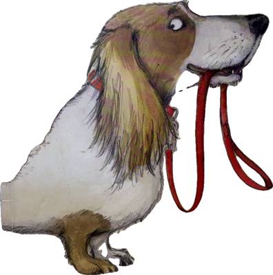Dogs