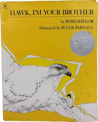 Hawk, I'm Your Brother