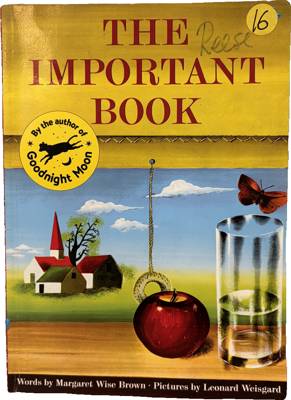 The Important Book