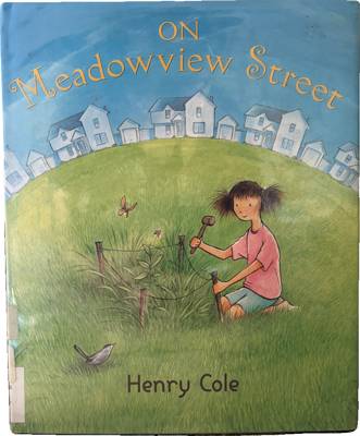 On Meadowview Street
