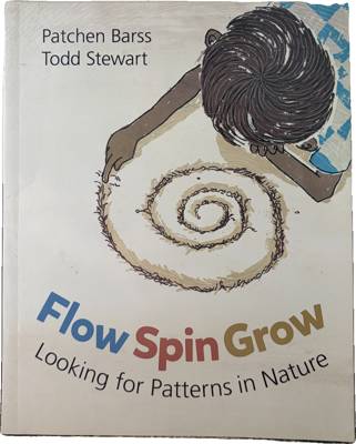 Flow Spin Grow: Looking for Patterns in Nature