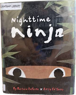 Nighttime Ninja