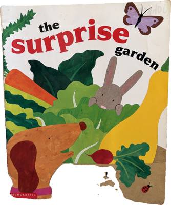 The Surprise Garden