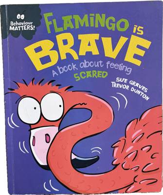 Flamingo is Brave