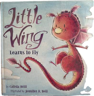 Little Wing Learns to Fly