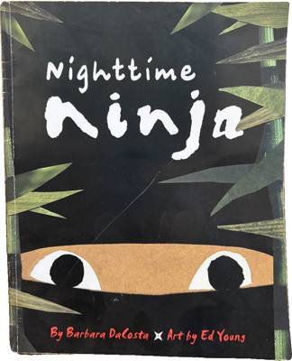 Nighttime Ninja