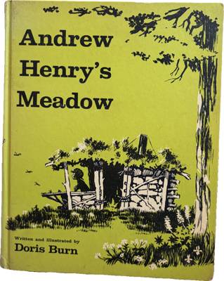 Andrew Henry's Meadow