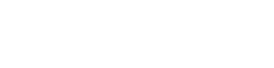 Viiision Logo